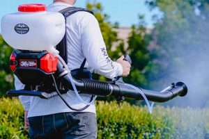 Best Mosquito Backpack Sprayer: Reviews & Guide Ultimate Backpack Traveler Guide: Tips, Destinations & Budget Hacks Best Mosquito Backpack Sprayer: Reviews & Guide | Ultimate Backpack Traveler Guide: Tips, Destinations & Budget Hacks