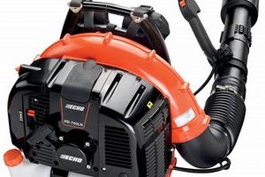 Backpack Blower Pro: Echo Blowers Backpack Performance! Ultimate Backpack Traveler Guide: Tips, Destinations & Budget Hacks Backpack Blower Pro: Echo Blowers Backpack Performance! | Ultimate Backpack Traveler Guide: Tips, Destinations & Budget Hacks