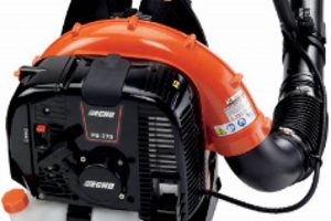 Best Echo 770T Backpack Blower: Power & Reviews Ultimate Backpack Traveler Guide: Tips, Destinations & Budget Hacks Best Echo 770T Backpack Blower: Power & Reviews | Ultimate Backpack Traveler Guide: Tips, Destinations & Budget Hacks