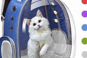 Top-Rated Best Cat Carrier Backpack [2024 Guide] | Ultimate Backpack Traveler Guide: Tips, Destinations & Budget Hacks