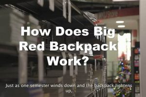 Backpacking with the Best Big Red Backpack Guide Ultimate Backpack Traveler Guide: Tips, Destinations & Budget Hacks Backpacking with the Best Big Red Backpack Guide | Ultimate Backpack Traveler Guide: Tips, Destinations & Budget Hacks