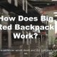 Backpacking with the Best Big Red Backpack Guide | Ultimate Backpack Traveler Guide: Tips, Destinations & Budget Hacks