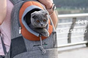 Best Cat Carrier Front Backpack [Review] Safe Travel! | Ultimate Backpack Traveler Guide: Tips, Destinations & Budget Hacks
