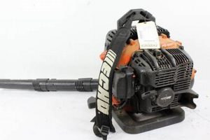 Echo PB-500T: Best Backpack Blower for Tough Jobs! Ultimate Backpack Traveler Guide: Tips, Destinations & Budget Hacks Echo PB-500T: Best Backpack Blower for Tough Jobs! | Ultimate Backpack Traveler Guide: Tips, Destinations & Budget Hacks
