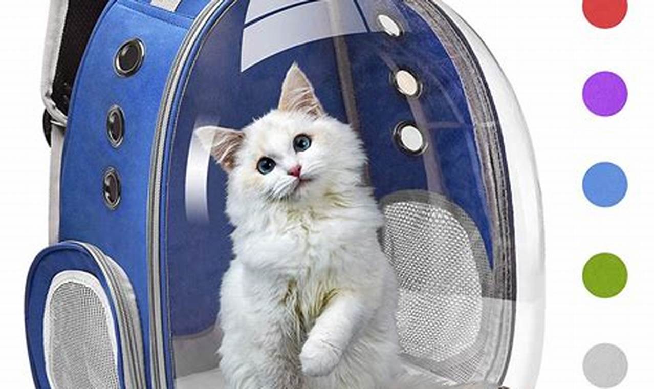 Top Rated: Best Cat Backpack for Hiking Your Furry Friend! Ultimate Backpack Traveler Guide: Tips, Destinations & Budget Hacks Top Rated: Best Cat Backpack for Hiking Your Furry Friend! | Ultimate Backpack Traveler Guide: Tips, Destinations & Budget Hacks