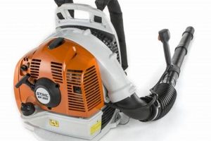Stihl BR 350 Backpack Blower: Power & Performance! Ultimate Backpack Traveler Guide: Tips, Destinations & Budget Hacks Stihl BR 350 Backpack Blower: Power & Performance! | Ultimate Backpack Traveler Guide: Tips, Destinations & Budget Hacks