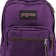Ultimate Guide: JanSport Purple Backpack Uses & Styles | Ultimate Backpack Traveler Guide: Tips, Destinations & Budget Hacks