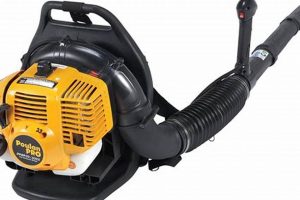 Poulan Backpack Blower: Review + Best Deals Ultimate Backpack Traveler Guide: Tips, Destinations & Budget Hacks Poulan Backpack Blower: Review + Best Deals | Ultimate Backpack Traveler Guide: Tips, Destinations & Budget Hacks