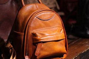Shop Trendy Leather Mini Backpack Purses | [Brand Name] | Ultimate Backpack Traveler Guide: Tips, Destinations & Budget Hacks