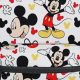 Best Disney Mickey Backpacks: Styles & More! | Ultimate Backpack Traveler Guide: Tips, Destinations & Budget Hacks