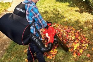 Best Backpack Leaf Vacuum: Buyer's Guide & Reviews Ultimate Backpack Traveler Guide: Tips, Destinations & Budget Hacks Best Backpack Leaf Vacuum: Buyer's Guide & Reviews | Ultimate Backpack Traveler Guide: Tips, Destinations & Budget Hacks