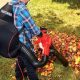 Best Backpack Leaf Vacuum: Buyer's Guide & Reviews | Ultimate Backpack Traveler Guide: Tips, Destinations & Budget Hacks