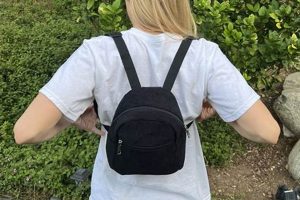 Tiny & Chic: Small Black Purse Backpack Styles to Love! | Ultimate Backpack Traveler Guide: Tips, Destinations & Budget Hacks