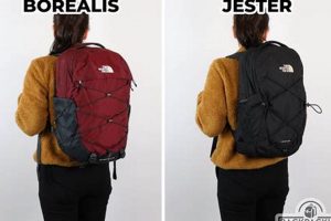 North Face Jester vs Borealis Backpack | Which Is Best? Ultimate Backpack Traveler Guide: Tips, Destinations & Budget Hacks North Face Jester vs Borealis Backpack | Which Is Best? | Ultimate Backpack Traveler Guide: Tips, Destinations & Budget Hacks