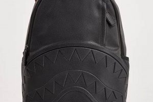 Shop Black Sprayground Backpacks: Cool Designs & More! | Ultimate Backpack Traveler Guide: Tips, Destinations & Budget Hacks