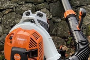 Best Stihl Backpack Blowers: Power & Comfort For Backpackers Ultimate Backpack Traveler Guide: Tips, Destinations & Budget Hacks Best Stihl Backpack Blowers: Power & Comfort For Backpackers | Ultimate Backpack Traveler Guide: Tips, Destinations & Budget Hacks