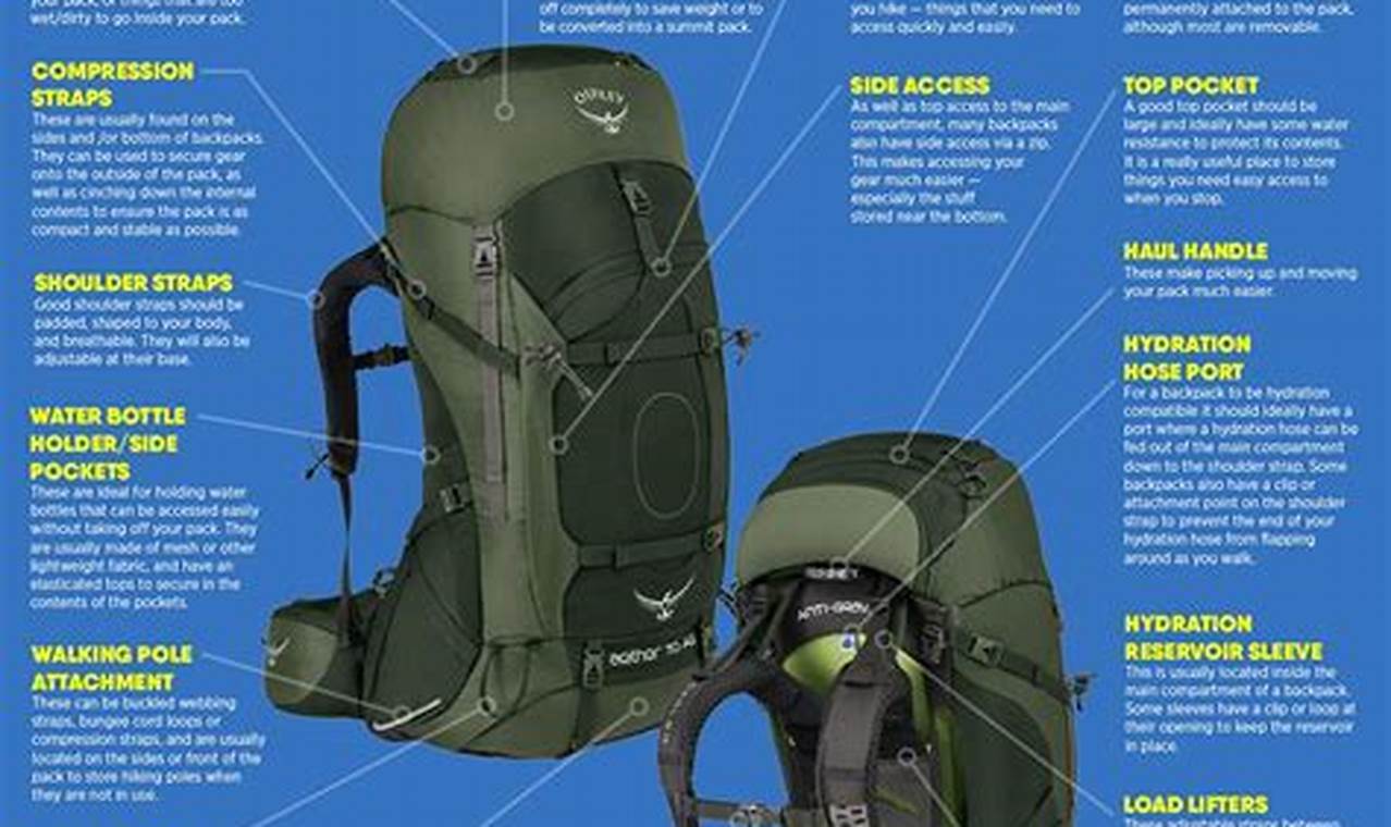 Backpack Anatomy: Essential Parts of a Backpack for Hikers Ultimate Backpack Traveler Guide: Tips, Destinations & Budget Hacks Backpack Anatomy: Essential Parts of a Backpack for Hikers | Ultimate Backpack Traveler Guide: Tips, Destinations & Budget Hacks