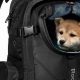 Best Pet Backpacks: Carrier Comfort for Your Furry Friend! | Ultimate Backpack Traveler Guide: Tips, Destinations & Budget Hacks