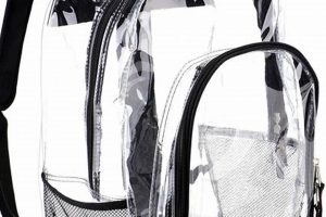 Best See Through Backpacks: Clear Bags For Travel! | Ultimate Backpack Traveler Guide: Tips, Destinations & Budget Hacks