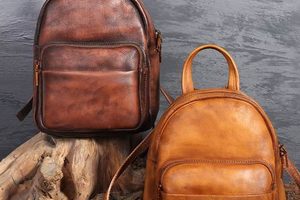 Mini & Chic: Small Leather Backpack Purses for You! Ultimate Backpack Traveler Guide: Tips, Destinations & Budget Hacks Mini & Chic: Small Leather Backpack Purses for You! | Ultimate Backpack Traveler Guide: Tips, Destinations & Budget Hacks
