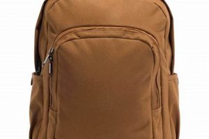 Best Men's Carhartt Backpack: Durable & Rugged Gear | Ultimate Backpack Traveler Guide: Tips, Destinations & Budget Hacks