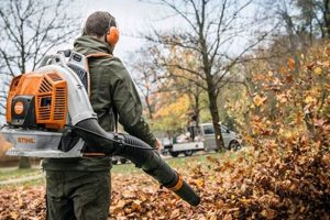 Power Up: Stihl Backpack Leaf Blowers - Clear Like a Pro! | Ultimate Backpack Traveler Guide: Tips, Destinations & Budget Hacks