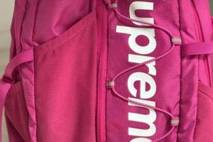 Best Supreme Pink Backpack [Gear Guide] for Backpackers | Ultimate Backpack Traveler Guide: Tips, Destinations & Budget Hacks