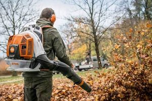 Stihl BR 800 Backpack Blower: Power & Performance Guide | Ultimate Backpack Traveler Guide: Tips, Destinations & Budget Hacks