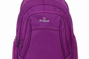 Best Purple Laptop Backpack: Styles + Protection! | Ultimate Backpack Traveler Guide: Tips, Destinations & Budget Hacks