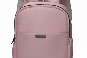 Stylish Pink Laptop Backpack: Protection & Beauty! | Ultimate Backpack Traveler Guide: Tips, Destinations & Budget Hacks