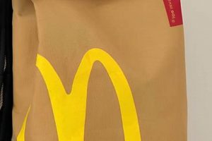 McDonald's Bag Backpack: Your Fast Food Backpacking Buddy! | Ultimate Backpack Traveler Guide: Tips, Destinations & Budget Hacks