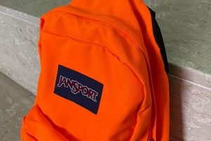 Bright Choice: Orange Jansport Backpack Guide & Reviews | Ultimate Backpack Traveler Guide: Tips, Destinations & Budget Hacks