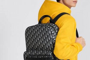 Elevate Style: Dior Men Backpack for the Modern Man Ultimate Backpack Traveler Guide: Tips, Destinations & Budget Hacks Elevate Style: Dior Men Backpack for the Modern Man | Ultimate Backpack Traveler Guide: Tips, Destinations & Budget Hacks