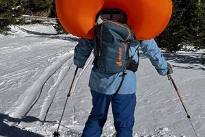 Best Avalanche Backpacks: Your Lifesaver Gear! Ultimate Backpack Traveler Guide: Tips, Destinations & Budget Hacks Best Avalanche Backpacks: Your Lifesaver Gear! | Ultimate Backpack Traveler Guide: Tips, Destinations & Budget Hacks