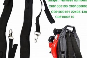 Best Backpack Blower Straps: Comfort & Support Pro | Ultimate Backpack Traveler Guide: Tips, Destinations & Budget Hacks