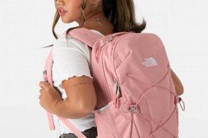 Shop North Face Rose Gold Backpacks - Stylish & Durable! | Ultimate Backpack Traveler Guide: Tips, Destinations & Budget Hacks