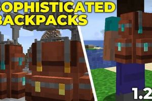 Elevate Your Style: Sophisticated Backpacks 1.21 for Professionals | Ultimate Backpack Traveler Guide: Tips, Destinations & Budget Hacks