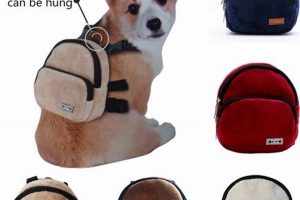 Backpacking with Dogs: Find the Best Dog Harness Backpack! Ultimate Backpack Traveler Guide: Tips, Destinations & Budget Hacks Backpacking with Dogs: Find the Best Dog Harness Backpack! | Ultimate Backpack Traveler Guide: Tips, Destinations & Budget Hacks