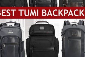 Ultimate Tumi Business Backpack: Work In Style | Ultimate Backpack Traveler Guide: Tips, Destinations & Budget Hacks