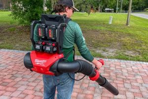 Powerful Milwaukee Backpack Blower: Reviews &amp; Deals! | Ultimate Backpack Traveler Guide: Tips, Destinations & Budget Hacks