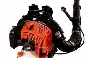 Best Backpack Leaf Blower Echo: Reviews &amp; Deals | Ultimate Backpack Traveler Guide: Tips, Destinations & Budget Hacks