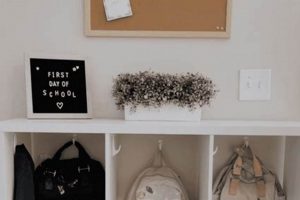 Best Storage Backpack [Gear] for Organized Backpackers! | Ultimate Backpack Traveler Guide: Tips, Destinations & Budget Hacks