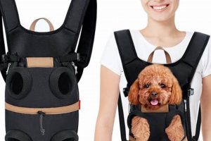 Your Guide: Dog Backpack Travel Tips & Adventures Ultimate Backpack Traveler Guide: Tips, Destinations & Budget Hacks Your Guide: Dog Backpack Travel Tips & Adventures | Ultimate Backpack Traveler Guide: Tips, Destinations & Budget Hacks