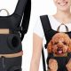 Your Guide: Dog Backpack Travel Tips & Adventures | Ultimate Backpack Traveler Guide: Tips, Destinations & Budget Hacks