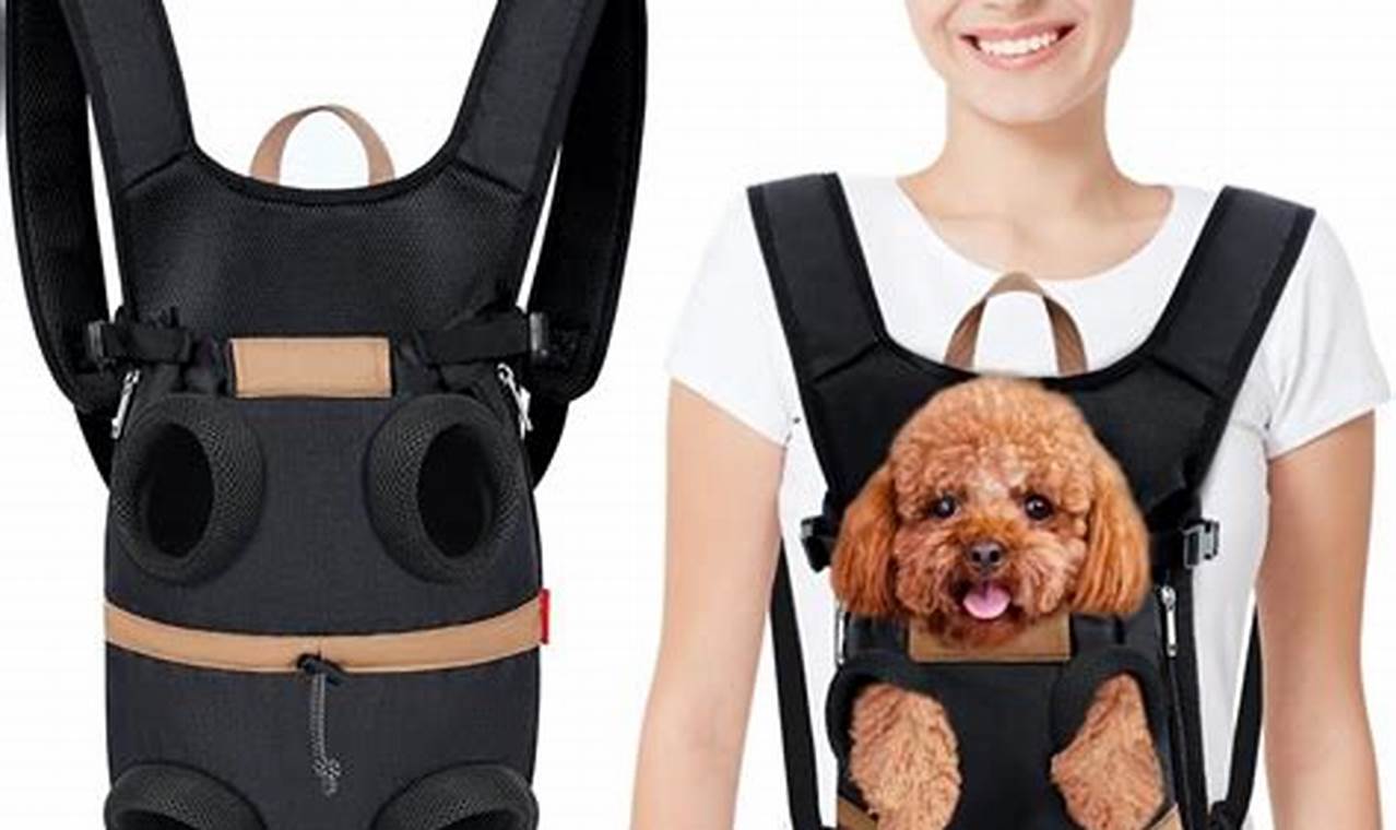 Your Guide: Dog Backpack Travel Tips & Adventures | Ultimate Backpack Traveler Guide: Tips, Destinations & Budget Hacks