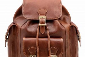 Premium Leather Backpack Backpacks: Style & Durability | Ultimate Backpack Traveler Guide: Tips, Destinations & Budget Hacks