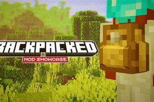 Fix: Backpacked Mod Won't Change Appearance? Easy Guide | Ultimate Backpack Traveler Guide: Tips, Destinations & Budget Hacks