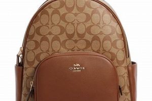Buy Timeless Coach Brown Leather Backpacks - Shop Now! | Ultimate Backpack Traveler Guide: Tips, Destinations & Budget Hacks