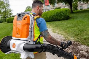 Find the Best Backpack Gas Blower: Reviews &amp; Buying Guide | Ultimate Backpack Traveler Guide: Tips, Destinations & Budget Hacks