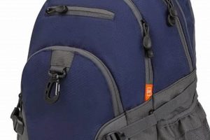 Best High Sierra Loop Daypack Backpack [Guide] | Ultimate Backpack Traveler Guide: Tips, Destinations & Budget Hacks